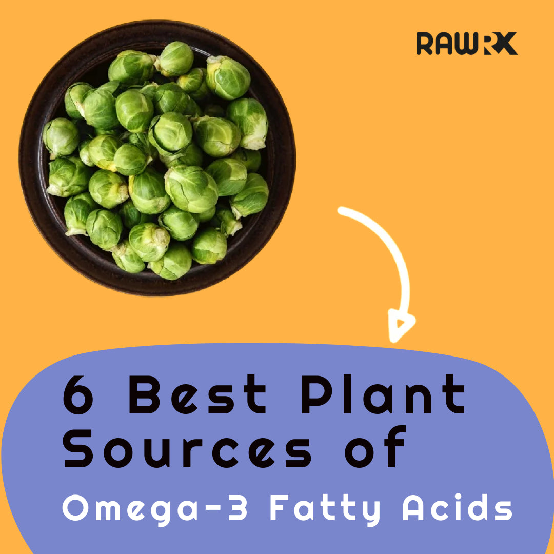 6 Best Plant Sources of Omega3 Fatty Acids RawRX